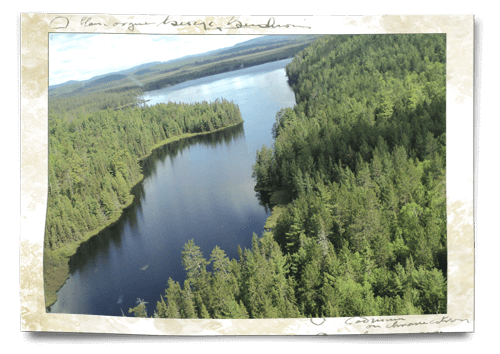 view from the air temagami